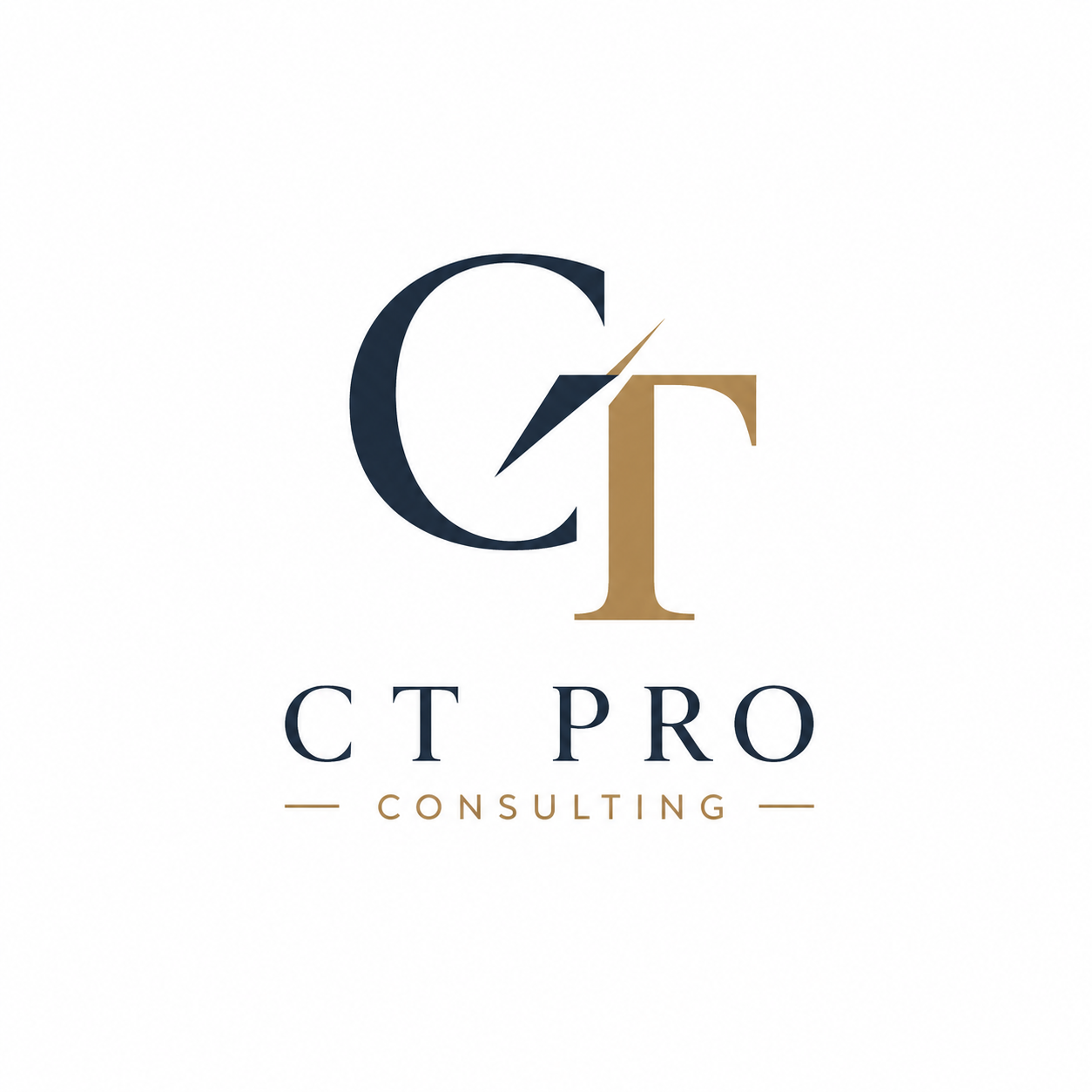 CT PRO Consulting